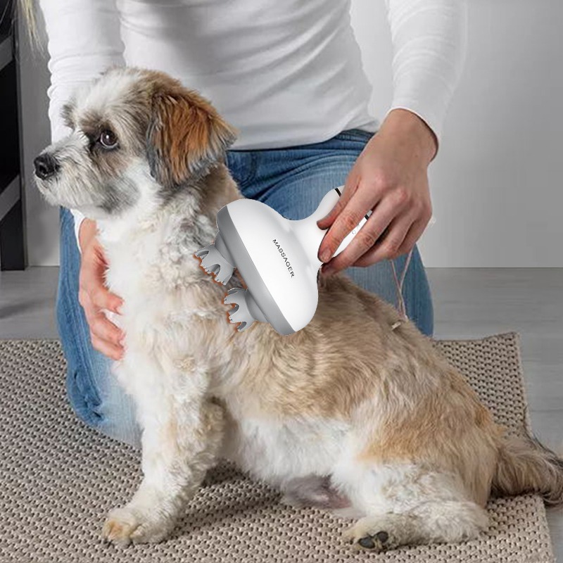 Draadloze waterdichte elektris - Hair Scalp Massager recensie en prijs