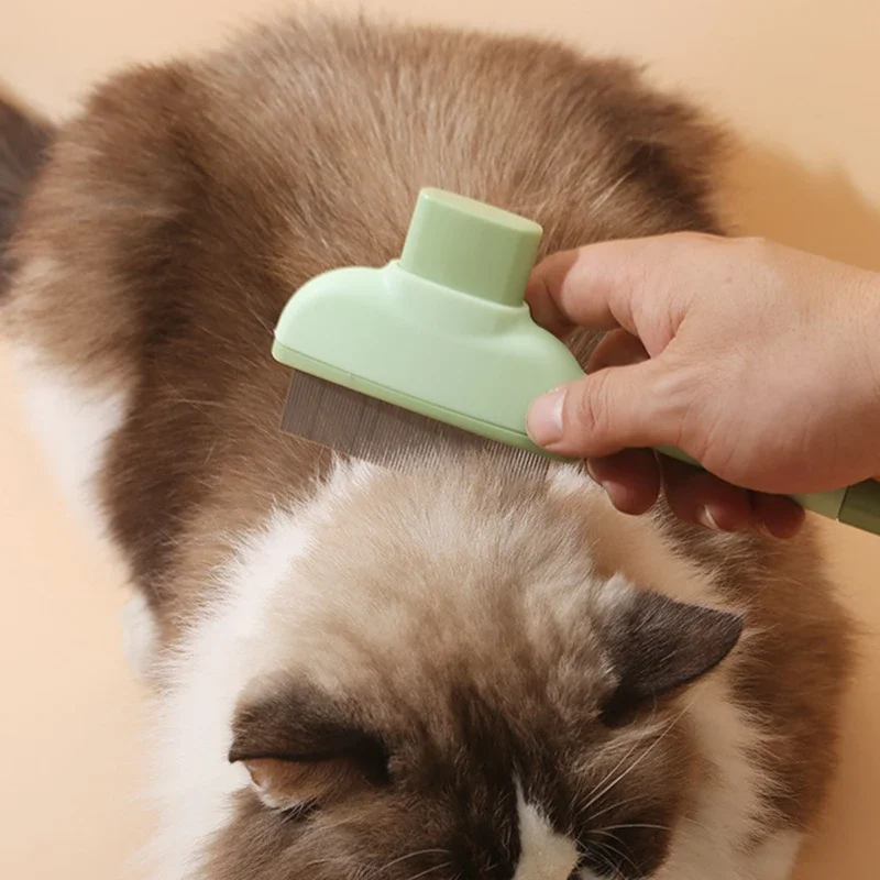 Huisdier Kat Kam Kat en Hond O - Makeup Beauty Ro recensie en prijs